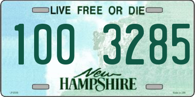 NH license plate 1003285