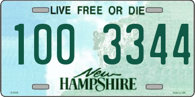 NH license plate 1003344