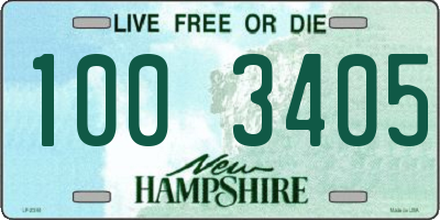 NH license plate 1003405