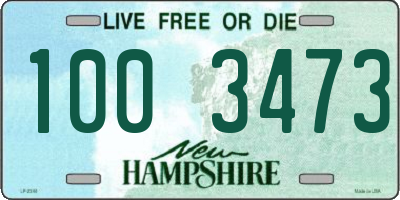 NH license plate 1003473