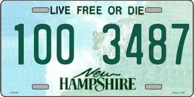 NH license plate 1003487