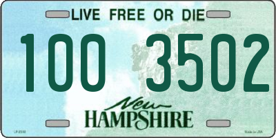 NH license plate 1003502