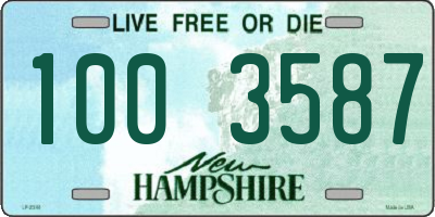 NH license plate 1003587