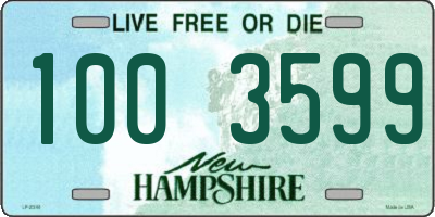 NH license plate 1003599