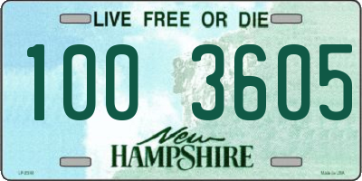 NH license plate 1003605