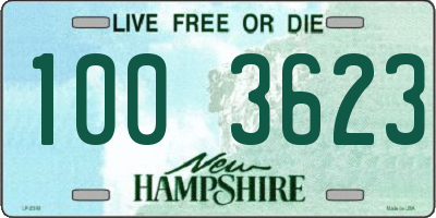 NH license plate 1003623