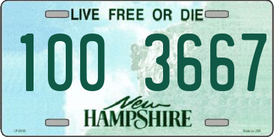 NH license plate 1003667