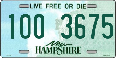 NH license plate 1003675