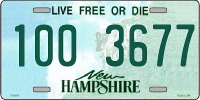 NH license plate 1003677