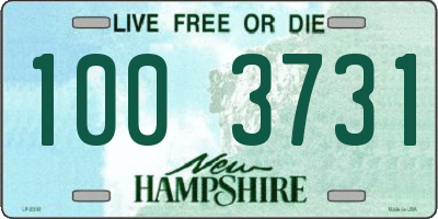 NH license plate 1003731