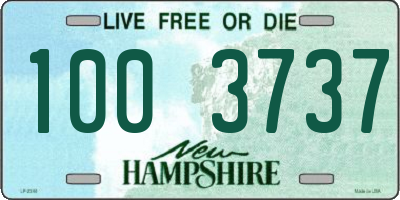 NH license plate 1003737