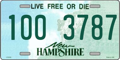 NH license plate 1003787