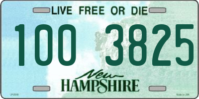 NH license plate 1003825