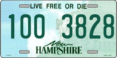 NH license plate 1003828