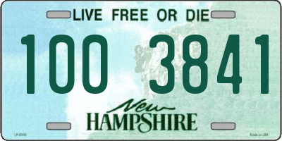 NH license plate 1003841