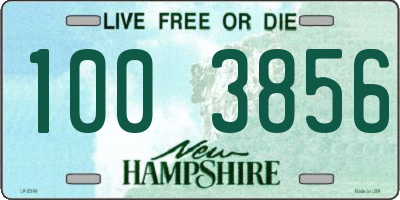 NH license plate 1003856