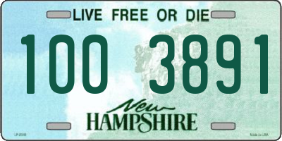 NH license plate 1003891