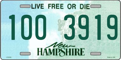 NH license plate 1003919