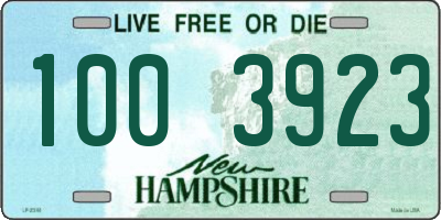 NH license plate 1003923