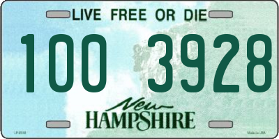 NH license plate 1003928