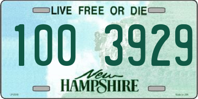 NH license plate 1003929