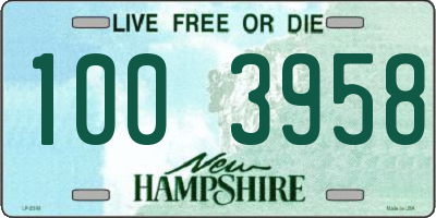 NH license plate 1003958