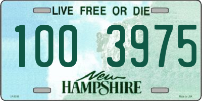 NH license plate 1003975