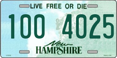 NH license plate 1004025