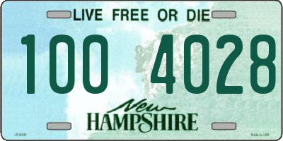 NH license plate 1004028