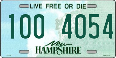 NH license plate 1004054