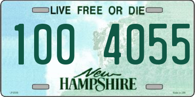 NH license plate 1004055