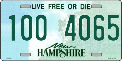 NH license plate 1004065