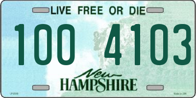 NH license plate 1004103