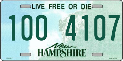 NH license plate 1004107