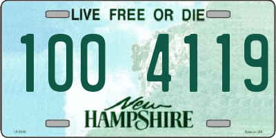 NH license plate 1004119
