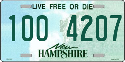 NH license plate 1004207