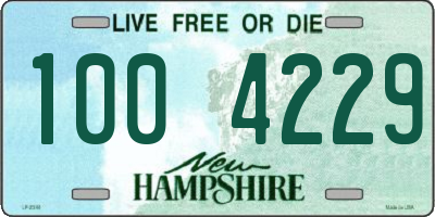 NH license plate 1004229