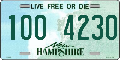 NH license plate 1004230