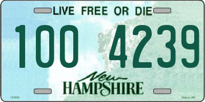 NH license plate 1004239