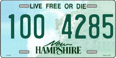 NH license plate 1004285