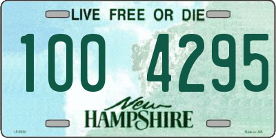 NH license plate 1004295