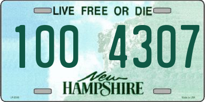 NH license plate 1004307