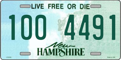 NH license plate 1004491