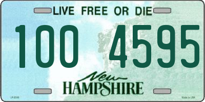 NH license plate 1004595