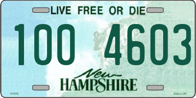 NH license plate 1004603