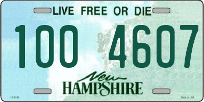 NH license plate 1004607