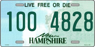 NH license plate 1004828