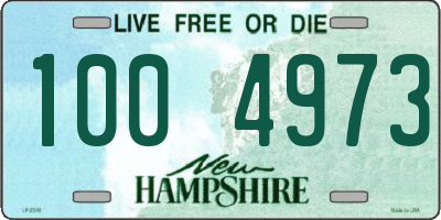 NH license plate 1004973