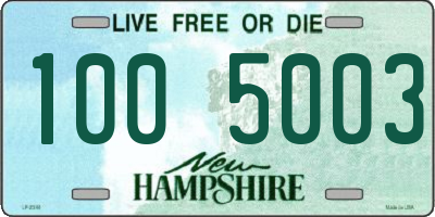 NH license plate 1005003