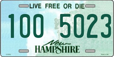 NH license plate 1005023